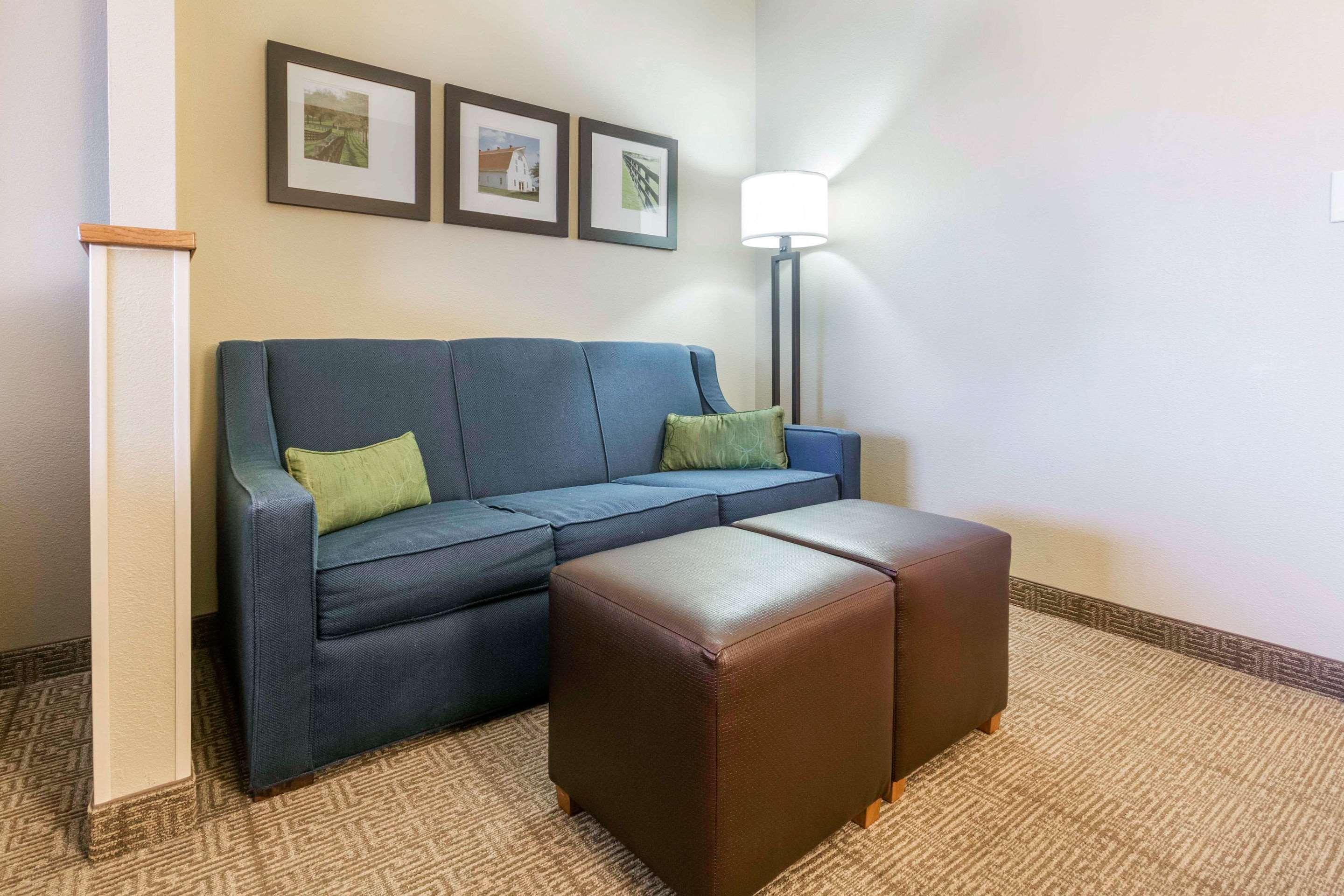 Comfort Suites Keeneland Лексингтън Екстериор снимка